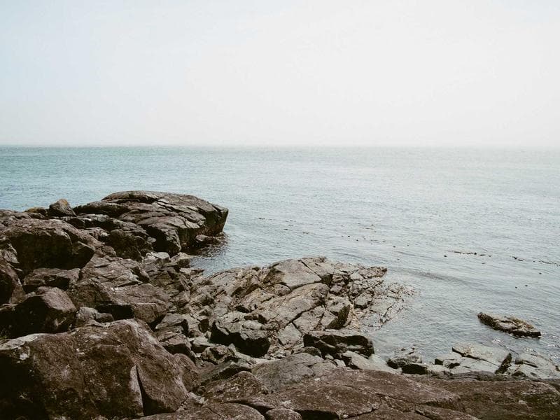 Why Invest in MO GIFT City Business Cycle Fund - Direct Growth? - 2