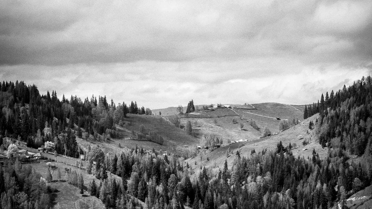 Understanding MO GIFT City Large and Mid Cap Fund - Direct Growth — Fund Manager Insights