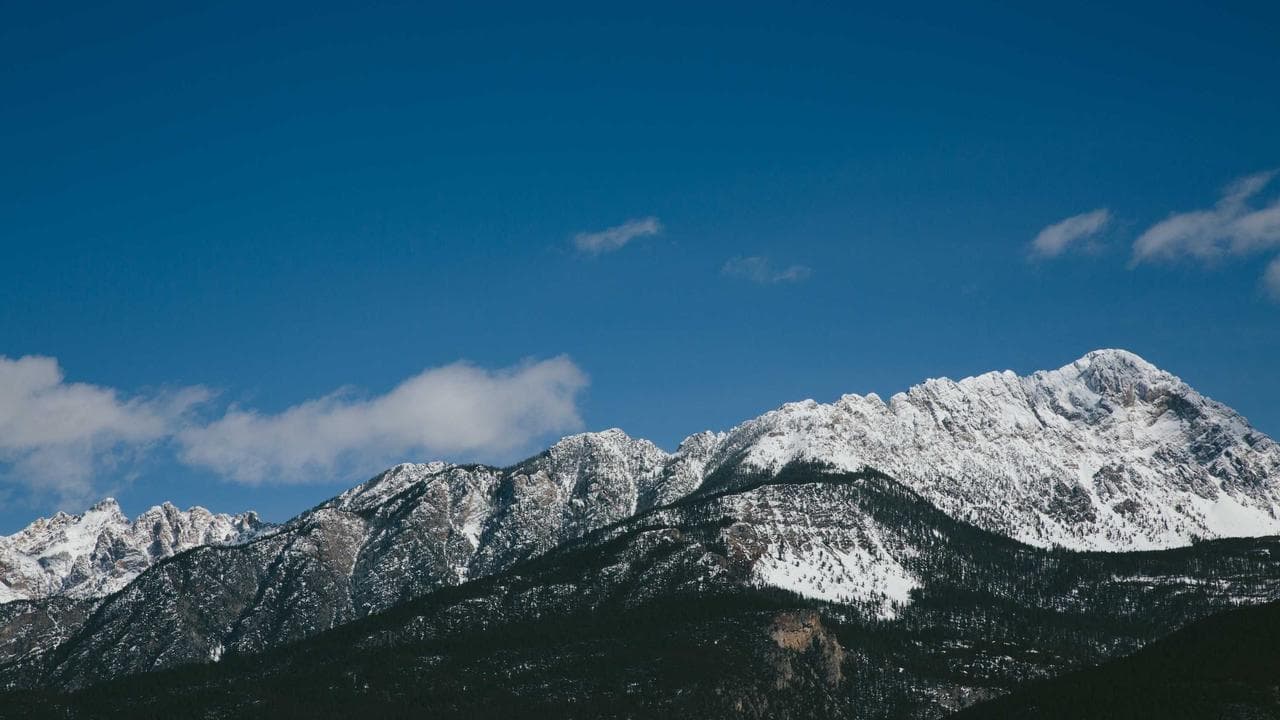 Understanding MO GIFT City Large Cap Fund - Regular Growth — Fund Manager Insights