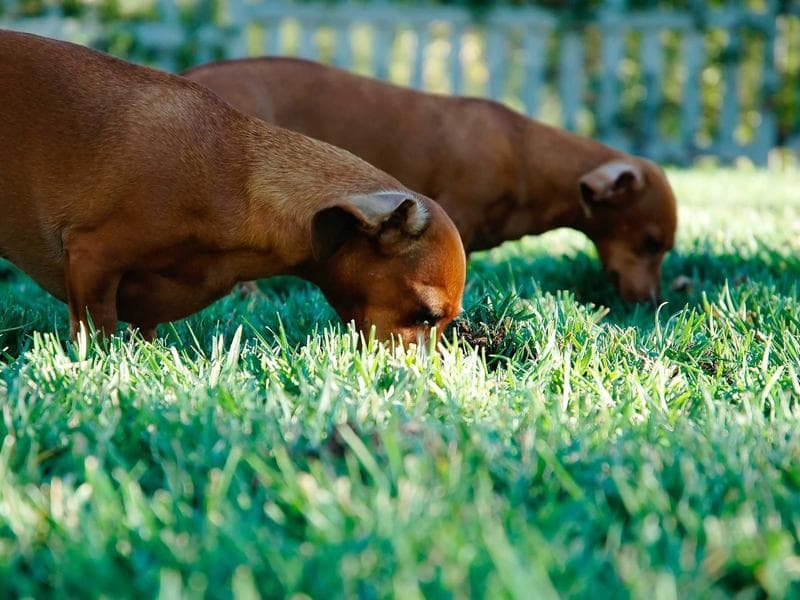 Why Invest in MO GIFT City Total Market Fund - Regular Growth? - 3